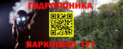 стаф Чебаркуль